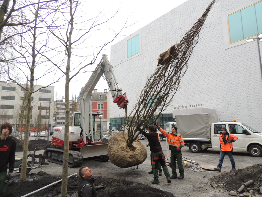 DSCN0016_JPG-1365636779