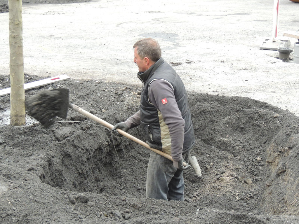 DSCN9993_JPG-1365636836