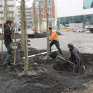 DSCN9991_JPG-1365636832