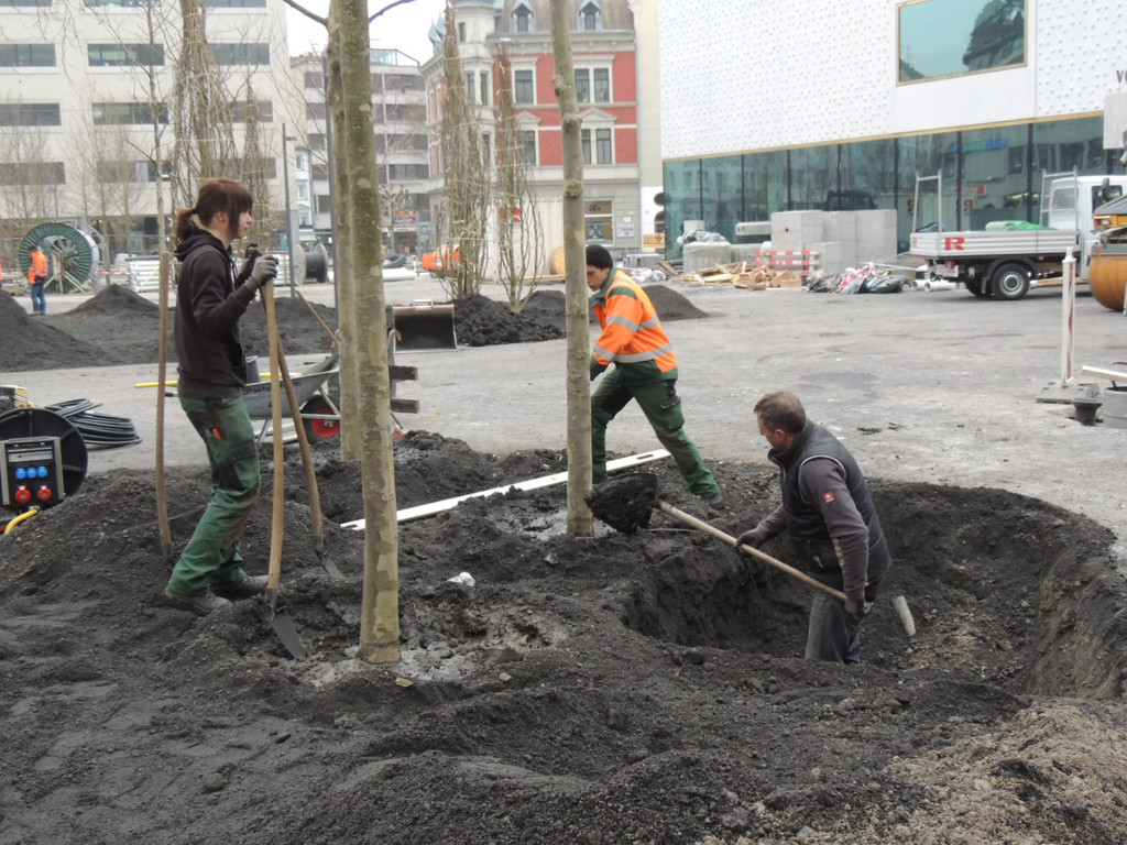 DSCN9991_JPG-1365636832