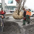 DSCN0018_JPG-1365636783