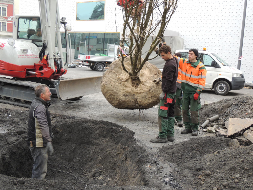 DSCN0018_JPG-1365636783