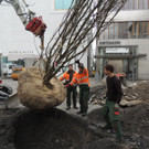 DSCN0020_JPG-1365636787