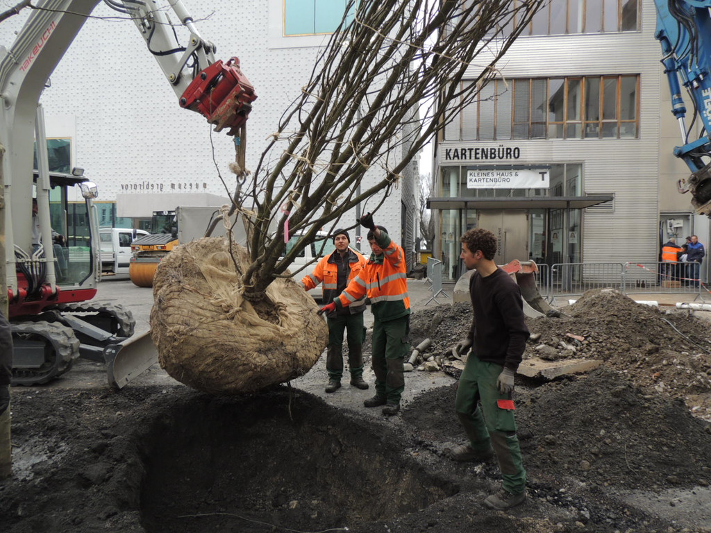 DSCN0020_JPG-1365636787