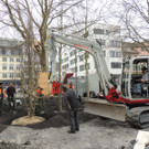 DSCN0036_JPG-1365636814