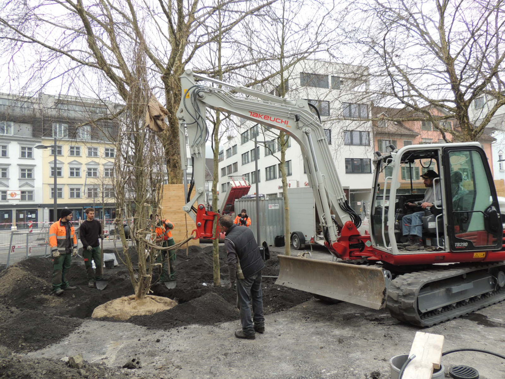 DSCN0036_JPG-1365636814