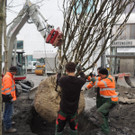 DSCN0021_JPG-1365636793