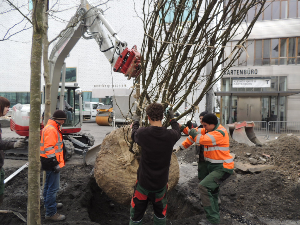 DSCN0021_JPG-1365636793