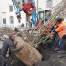 DSCN0025_JPG-1365636798