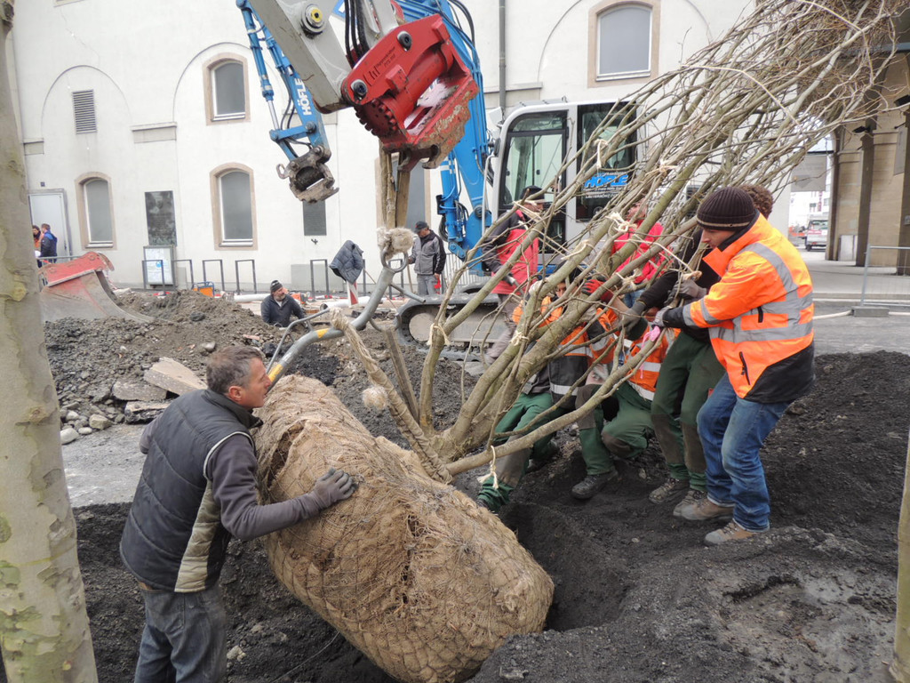 DSCN0025_JPG-1365636798