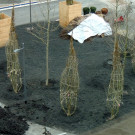 DSCN0435_JPG-1365636828