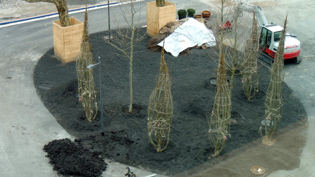 DSCN0435_JPG-1365636828