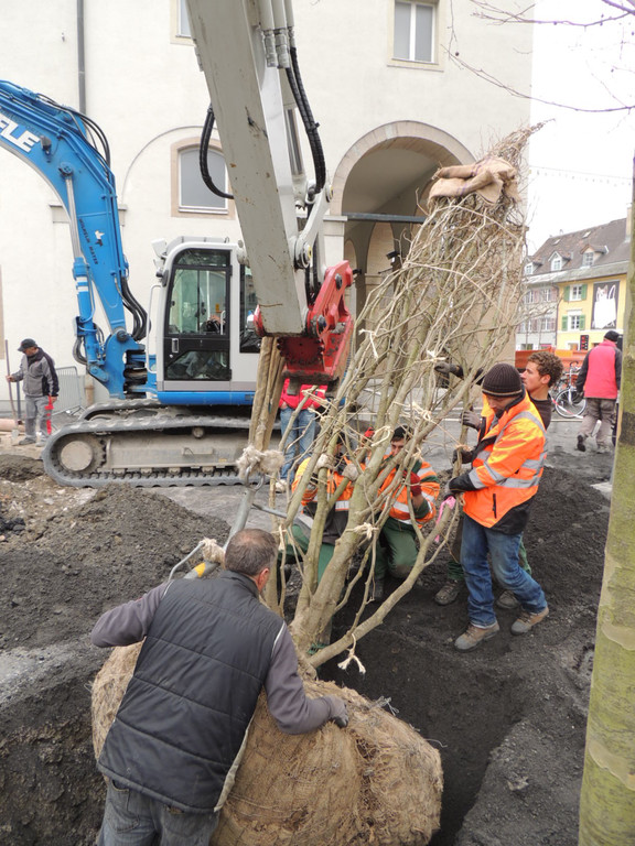 DSCN0026_JPG-1365636802