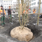 DSCN0035_JPG-1365636810