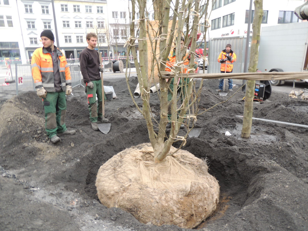 DSCN0035_JPG-1365636810