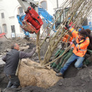 DSCN0027_JPG-1365636806