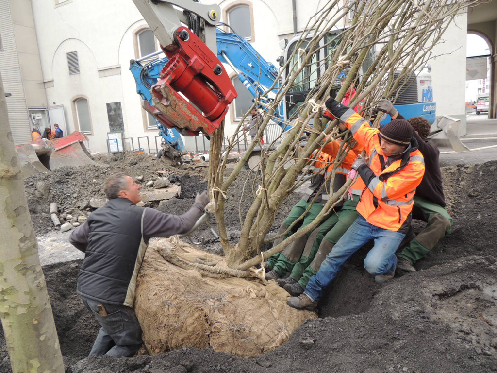 DSCN0027_JPG-1365636806