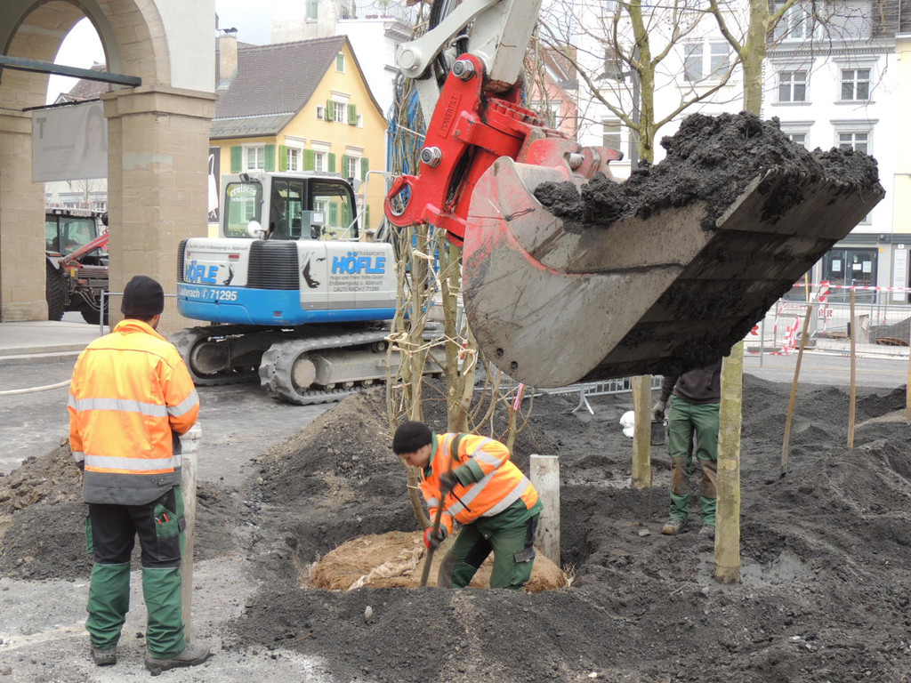 DSCN0044_JPG-1365636819