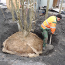 DSCN0045_JPG-1365636824