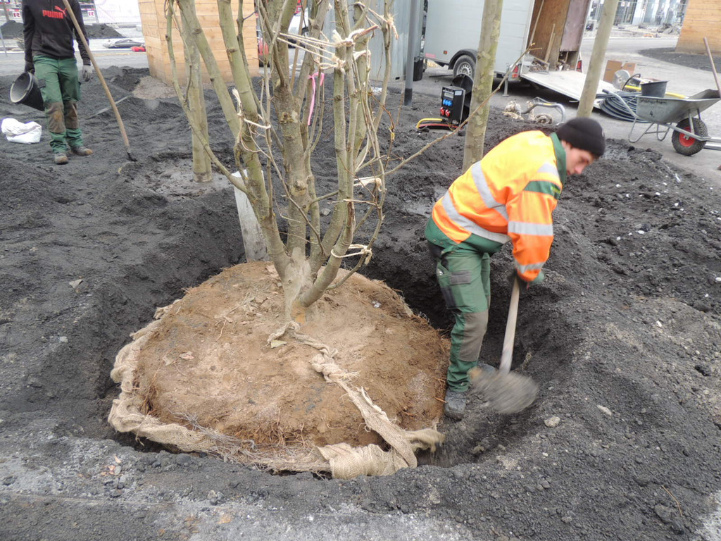 DSCN0045_JPG-1365636824