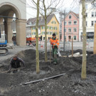 DSCN9997_JPG-1365636840