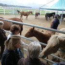 Western Reithalle am 9_ April 2013  _3_.JPG