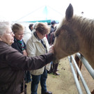Western Reithalle am 9_ April 2013  _4_.JPG