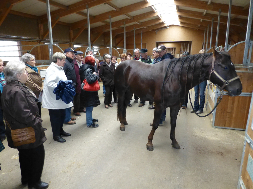 Western Reithalle am 9_ April 2013  _1_.JPG