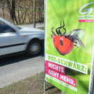 ABD0015-20130410.jpg