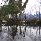 Weiher Thüringen