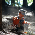 Die Waldeulen in Aktion