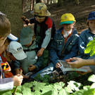 DSC_2953_jpg-1365713659