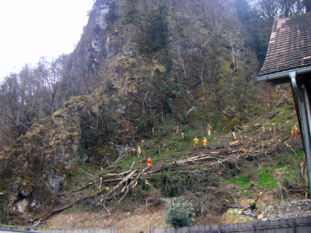 Waldarbeiten am Schlossberg Hohenems _16__JPG-1365752870