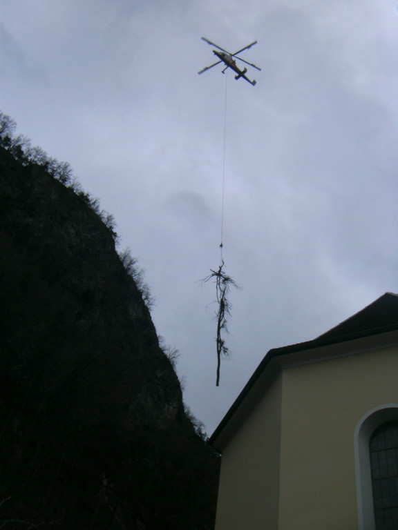 Waldarbeiten am Schlossberg Hohenems _44__JPG-1365753002