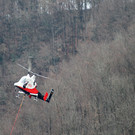 Waldarbeiten am Schlossberg Hohenems _4__JPG-1365752828
