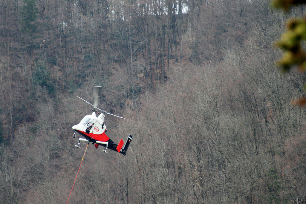 Waldarbeiten am Schlossberg Hohenems _4__JPG-1365752828