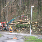 Waldarbeiten am Schlossberg Hohenems _43__JPG-1365752973