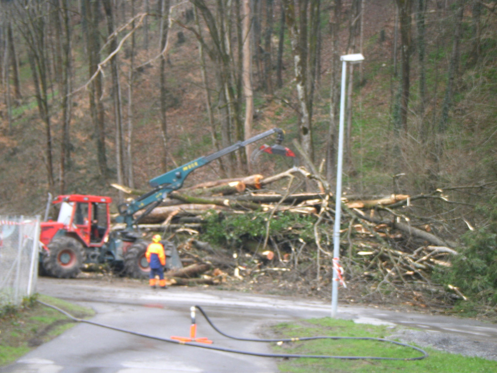 Waldarbeiten am Schlossberg Hohenems _43__JPG-1365752973