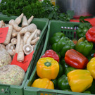 DSC_0431_JPG-1365767349