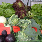 DSC_0427_JPG-1365767411