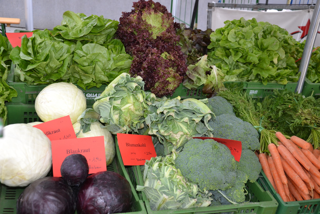 DSC_0427_JPG-1365767411