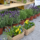 DSC_0394_JPG-1365767784