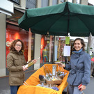 DSC_0380_JPG-1365767965