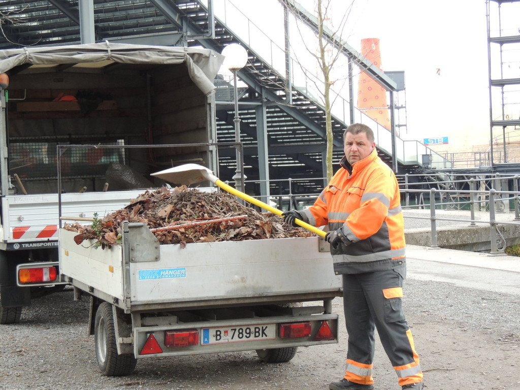 DSCN7260_JPG-1365808629