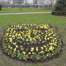 DSCN0603_JPG-1365808719