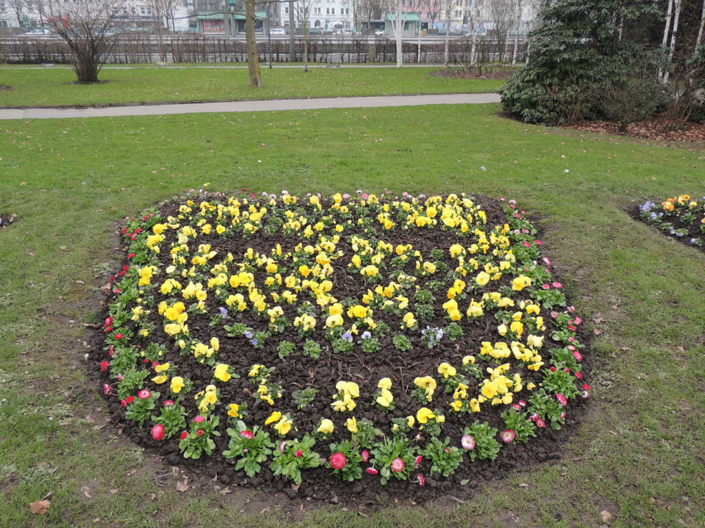 DSCN0603_JPG-1365808719