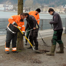 DSCN7248_JPG-1365808612