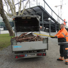 DSCN7256_JPG-1365808618