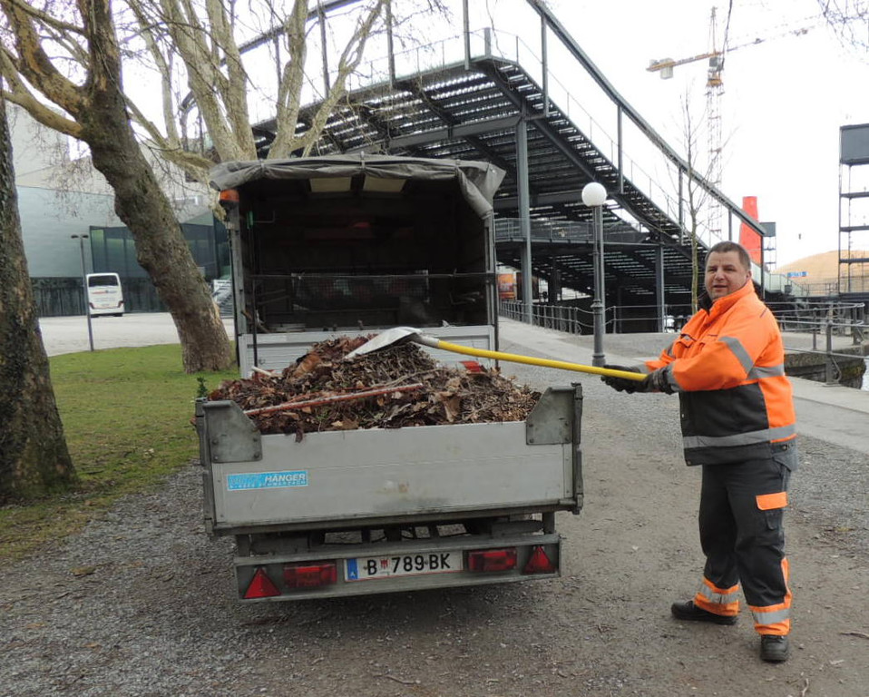 DSCN7256_JPG-1365808618