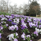 DSCN0604_JPG-1365808723